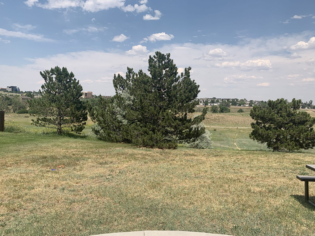 colorado medication assisted recovery addiction treatment