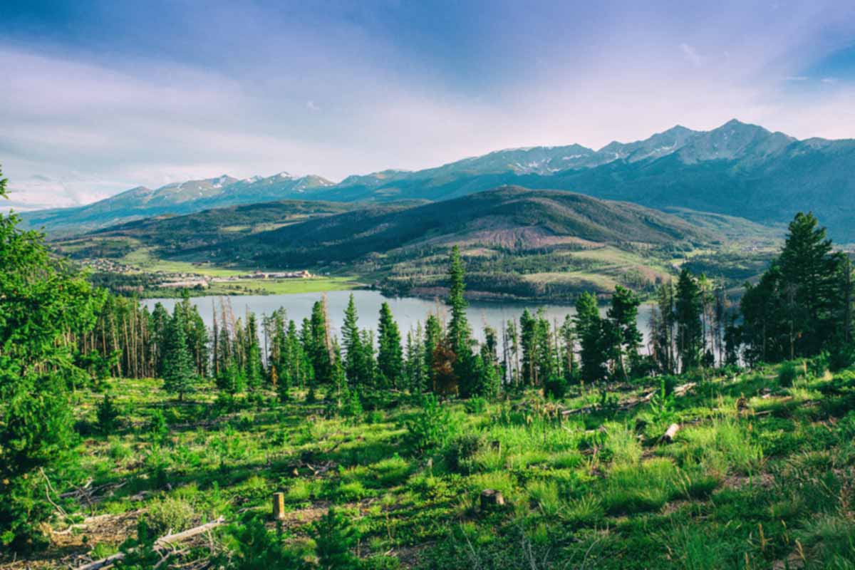 CBT Program in Colorado
